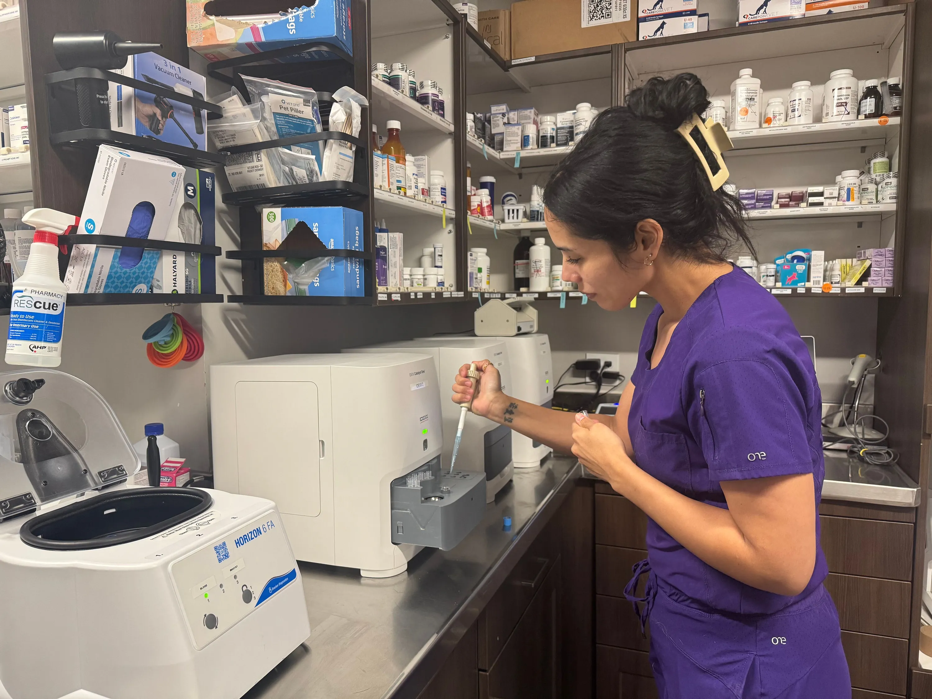 Veterinarian treating a dog