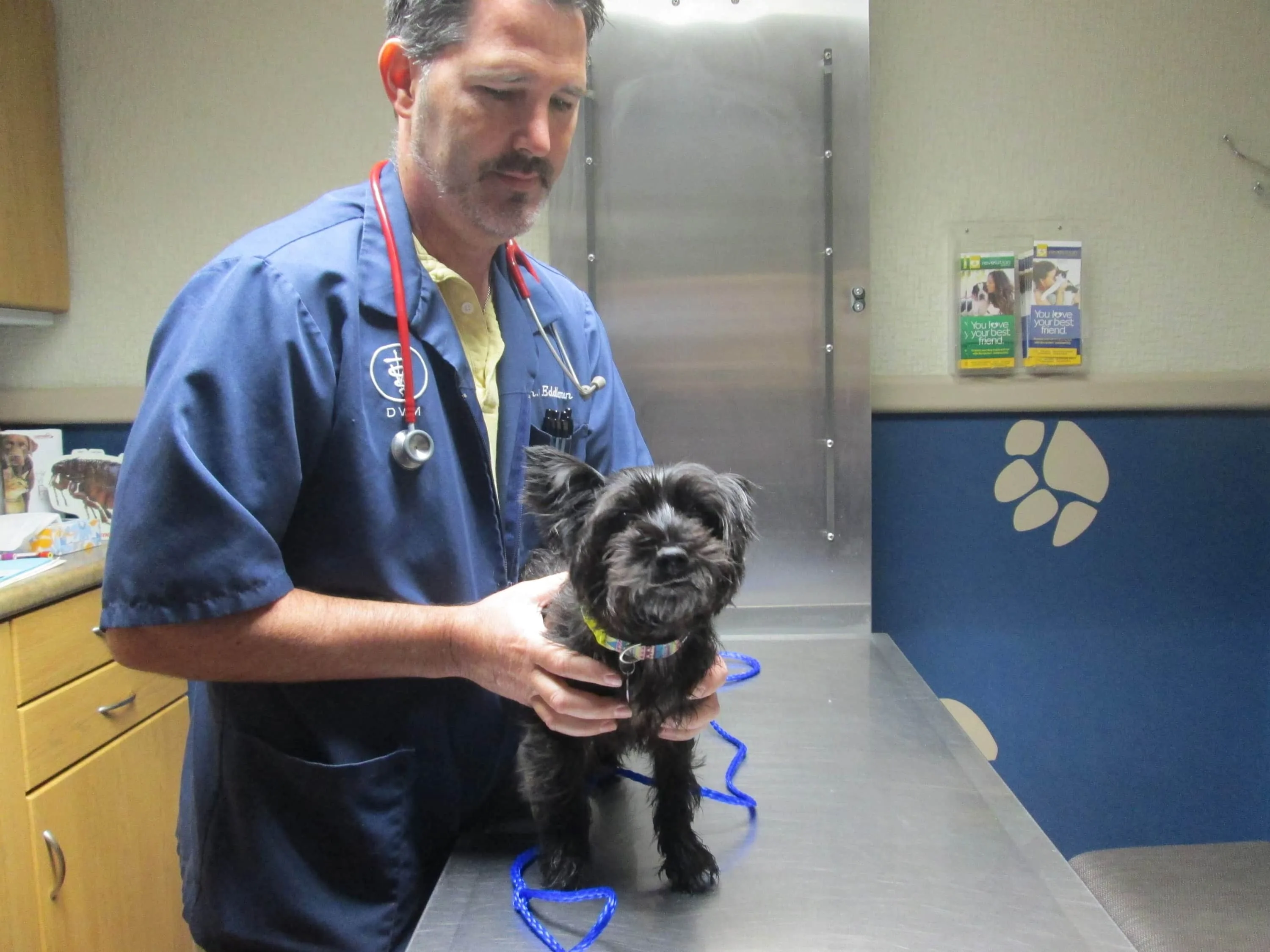 Doctor with dog