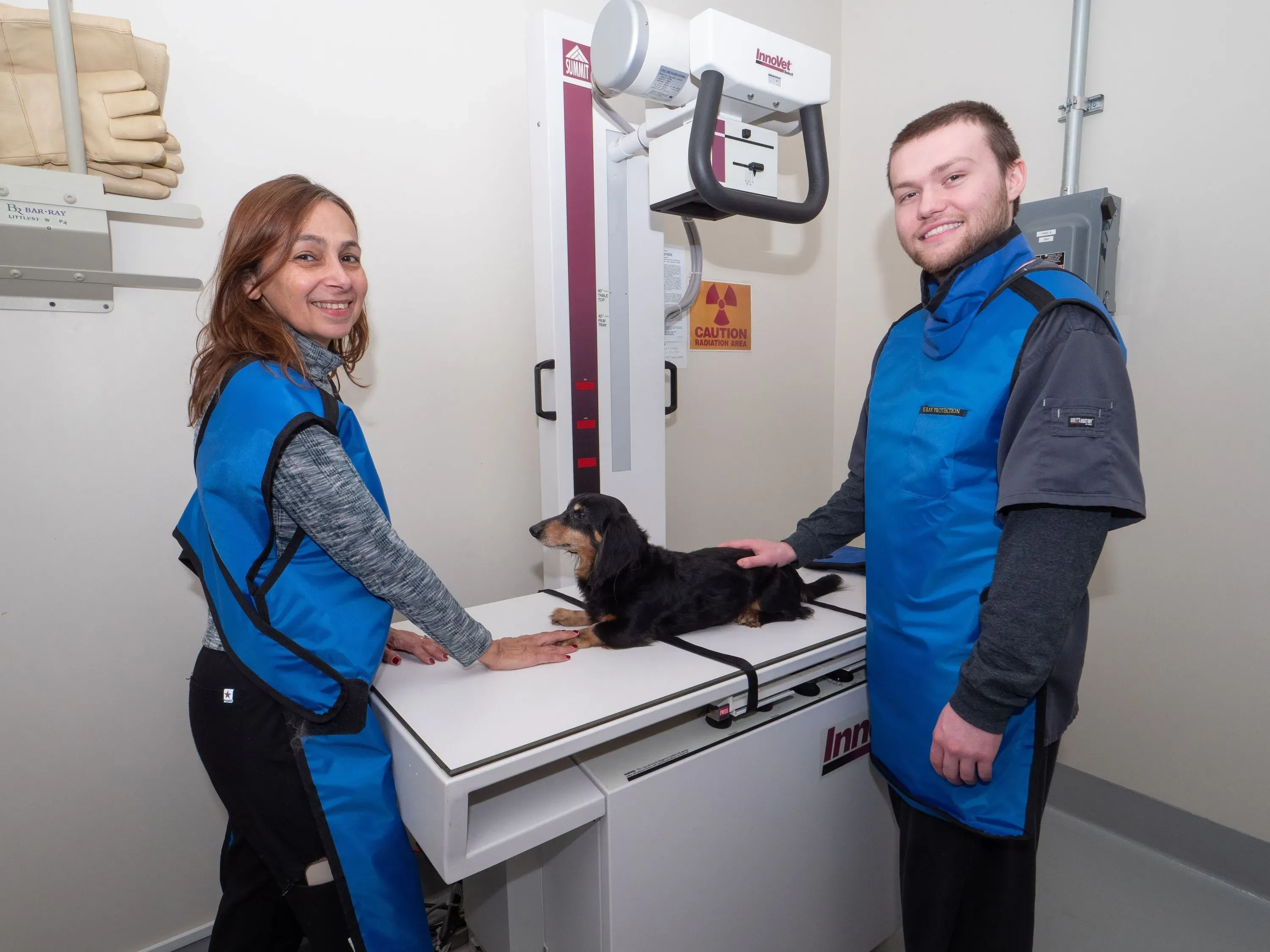 Veterinarian in Morgan Hill, CA Cochrane Animal Hospital