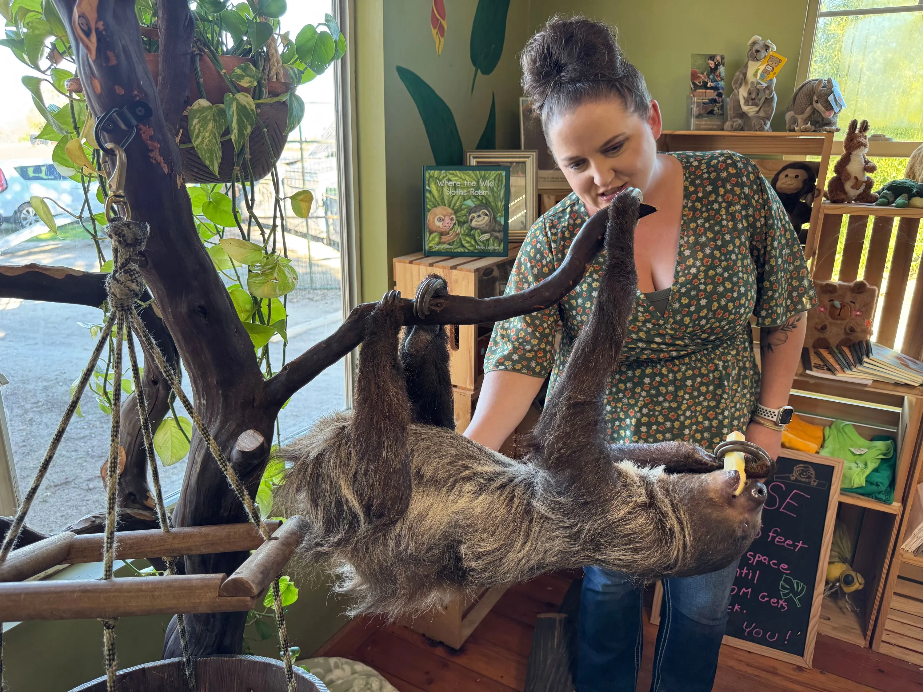 Veterinary assistant