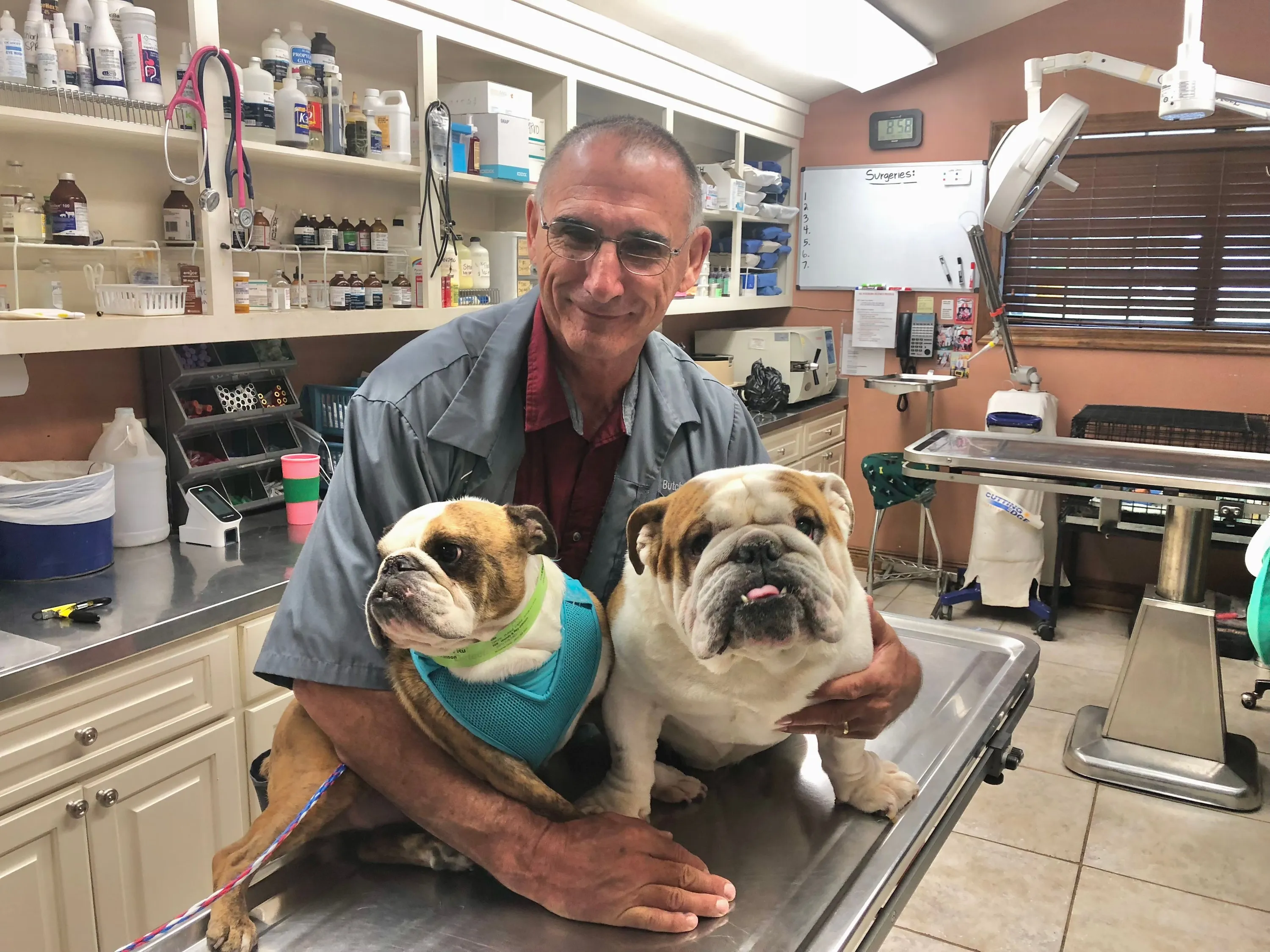 Dr Russum loves his bulldogs