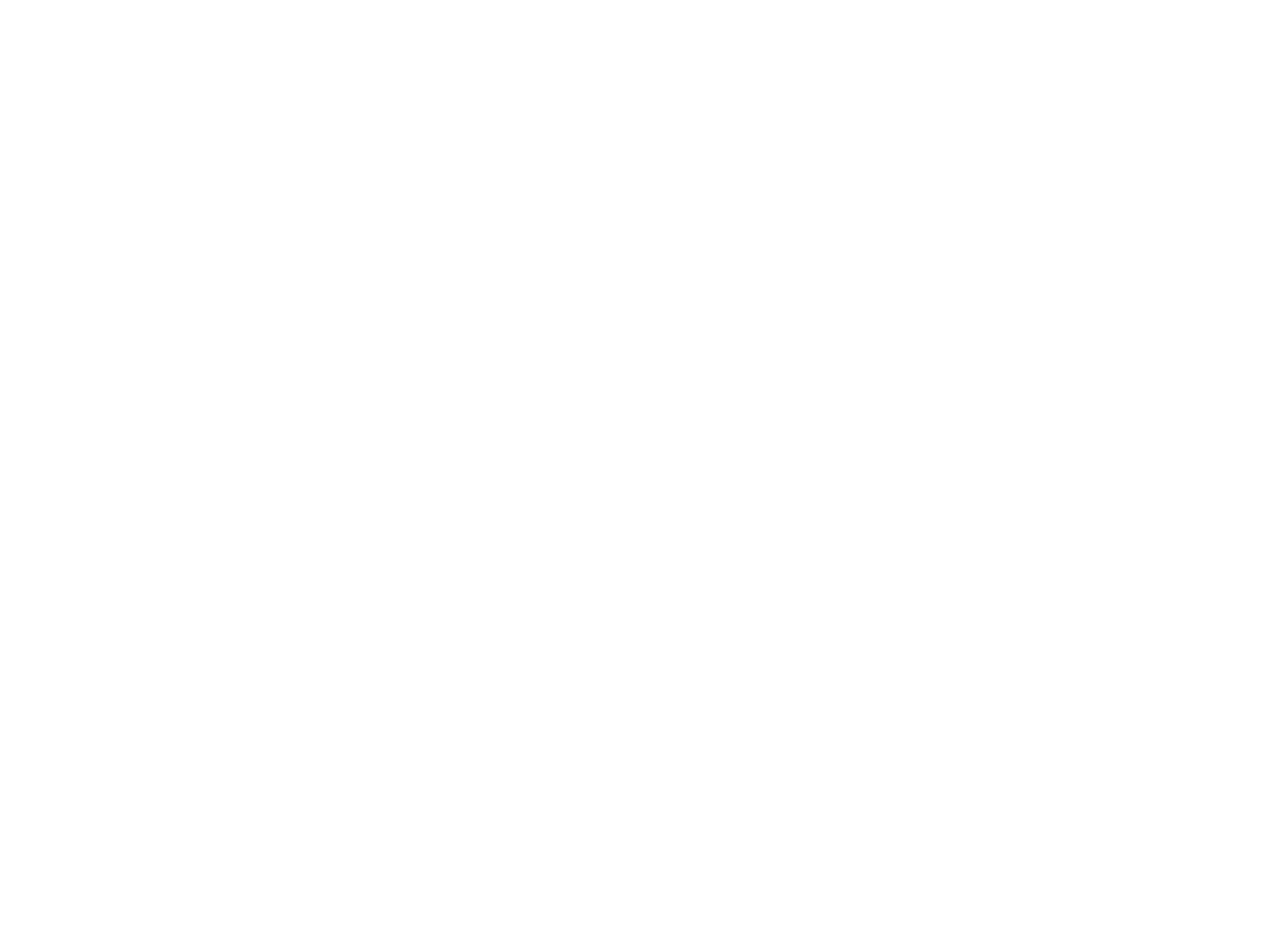 Best Coast Chiropractic Inc LOGO