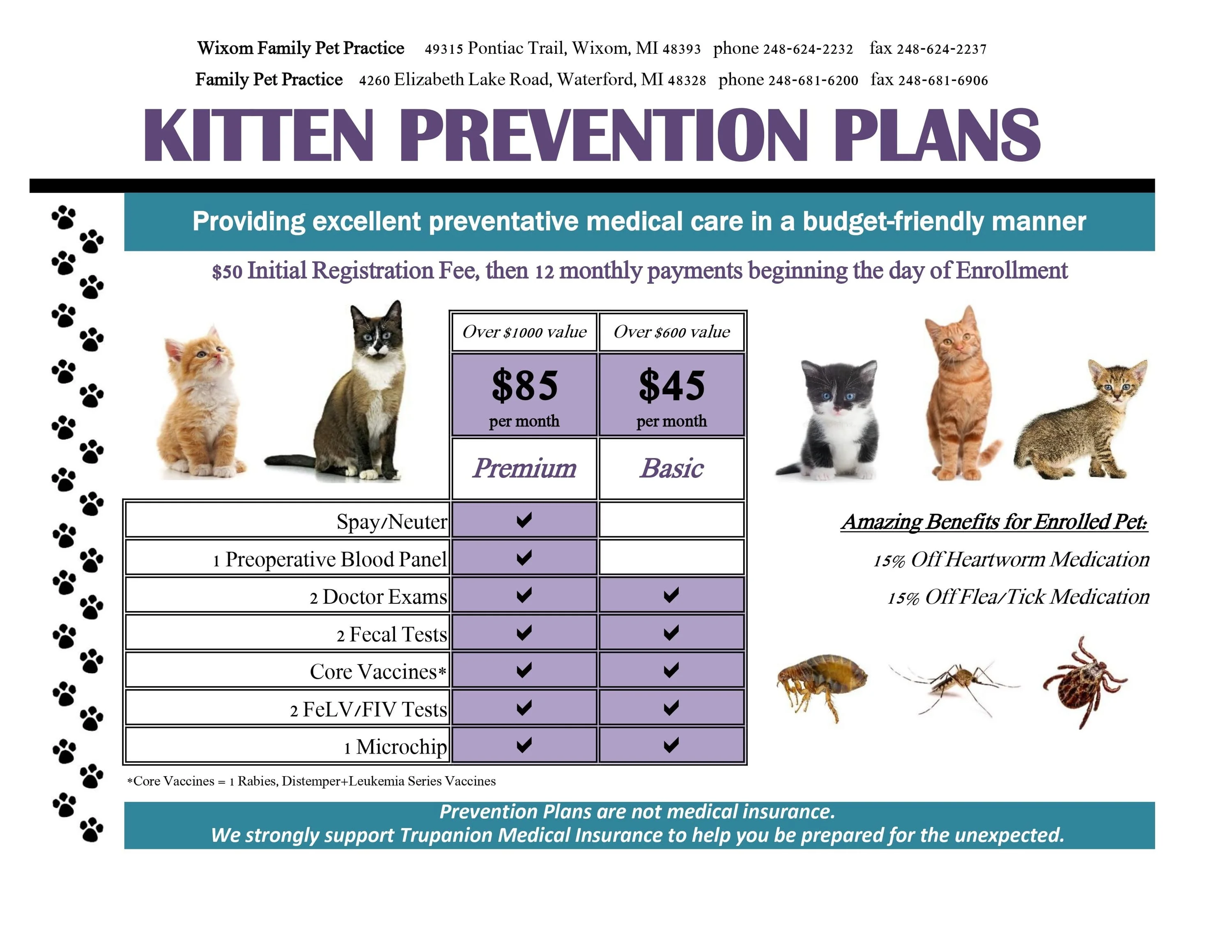 Kitten Prevention Plan