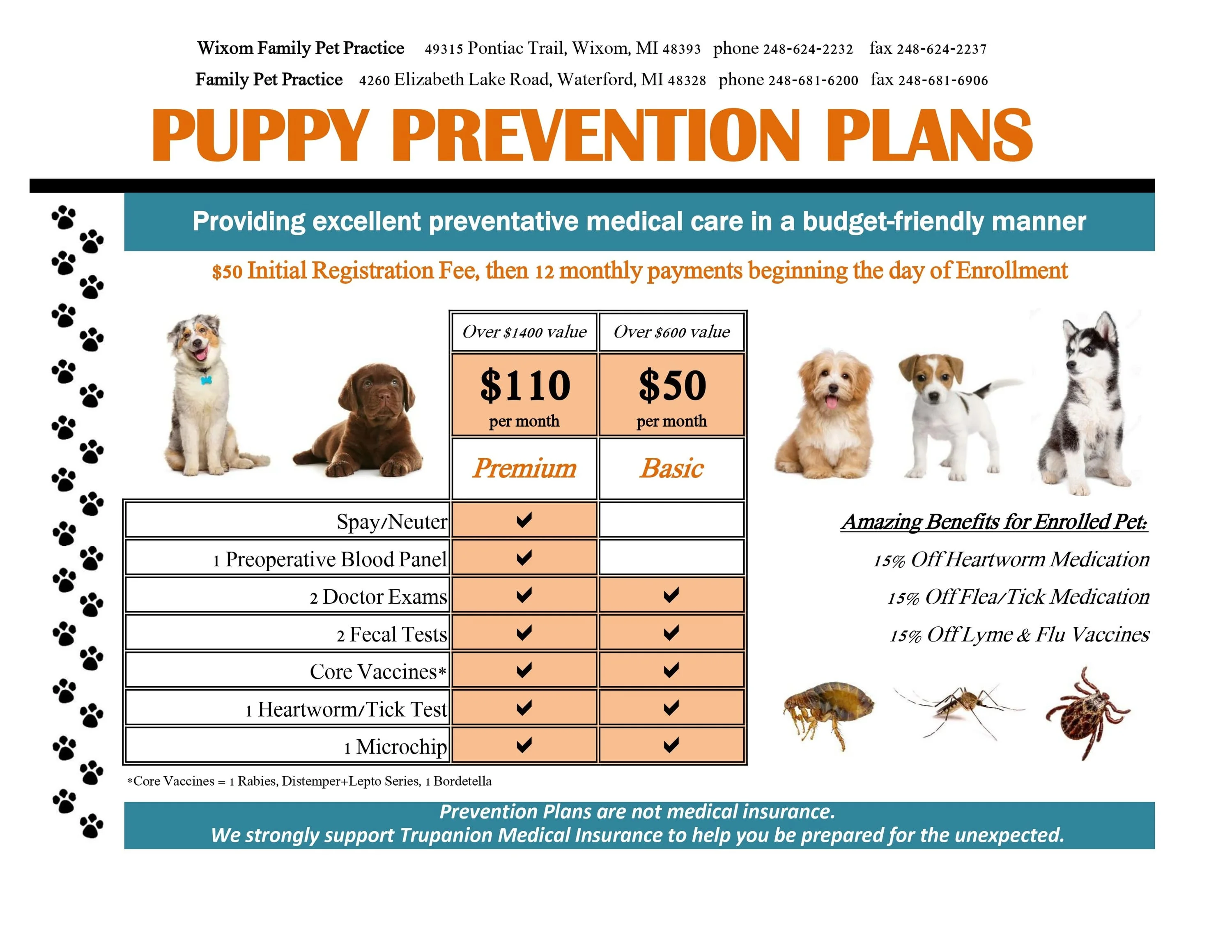 Puppy Prevention Plans