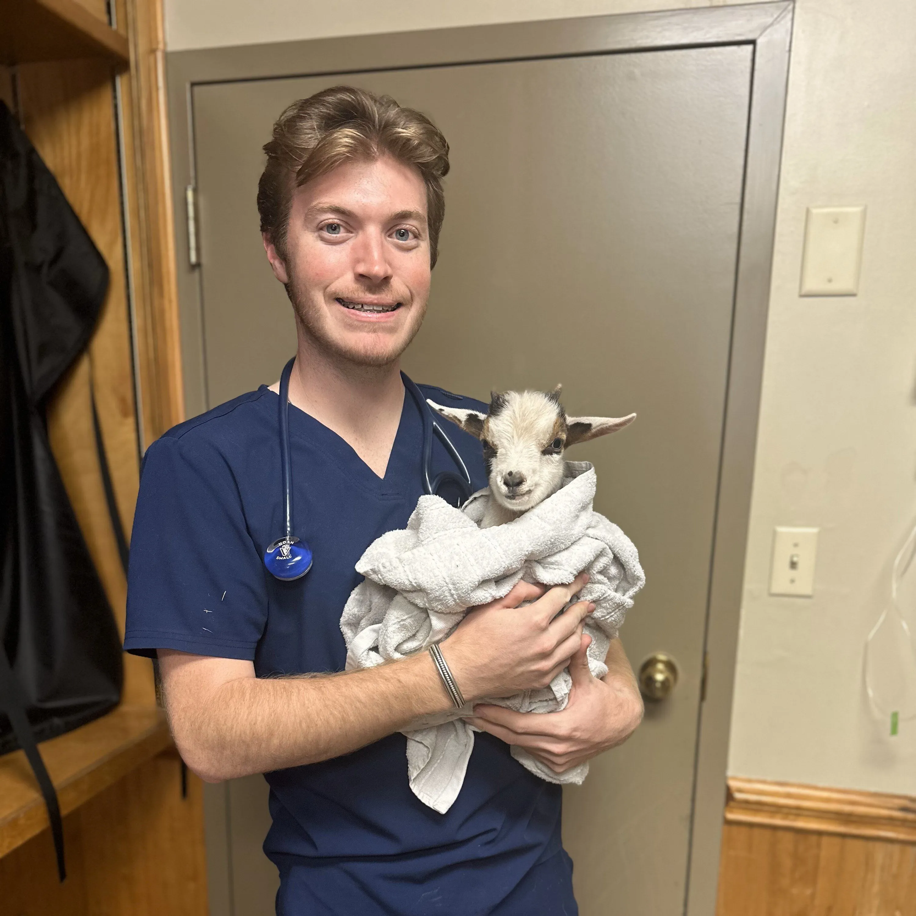 about-us-veterinarian-in-charlotte-nc-uptown-veterinary-hospital