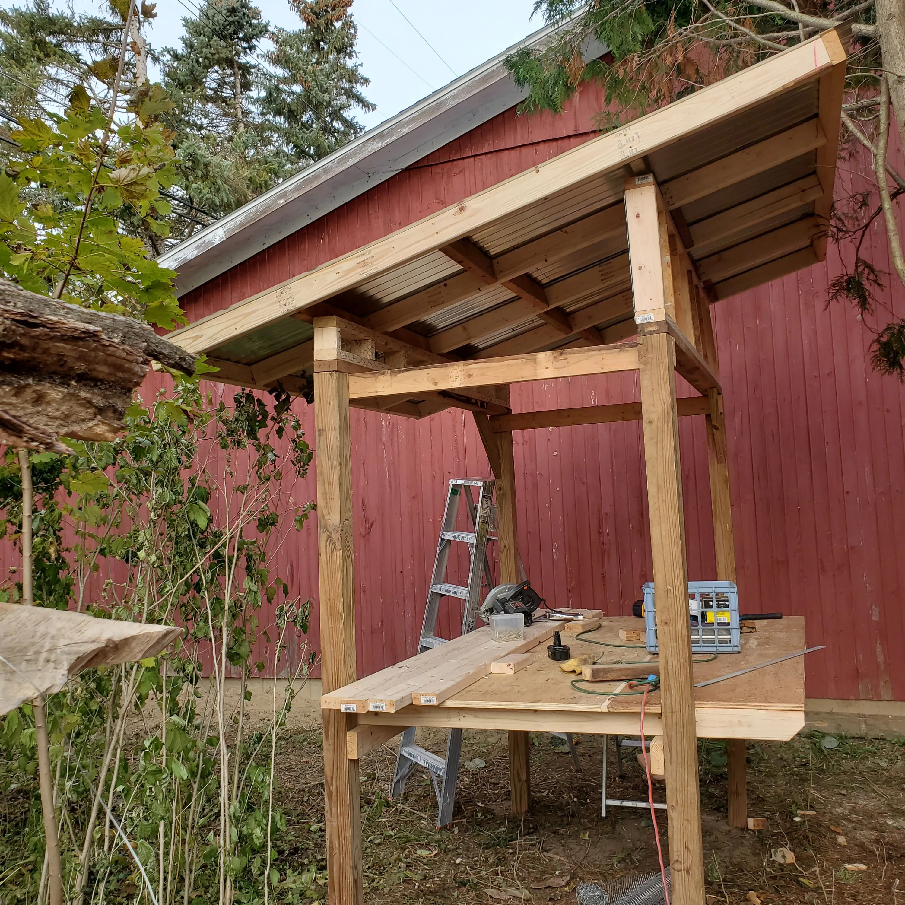 Chicken Coop Construction