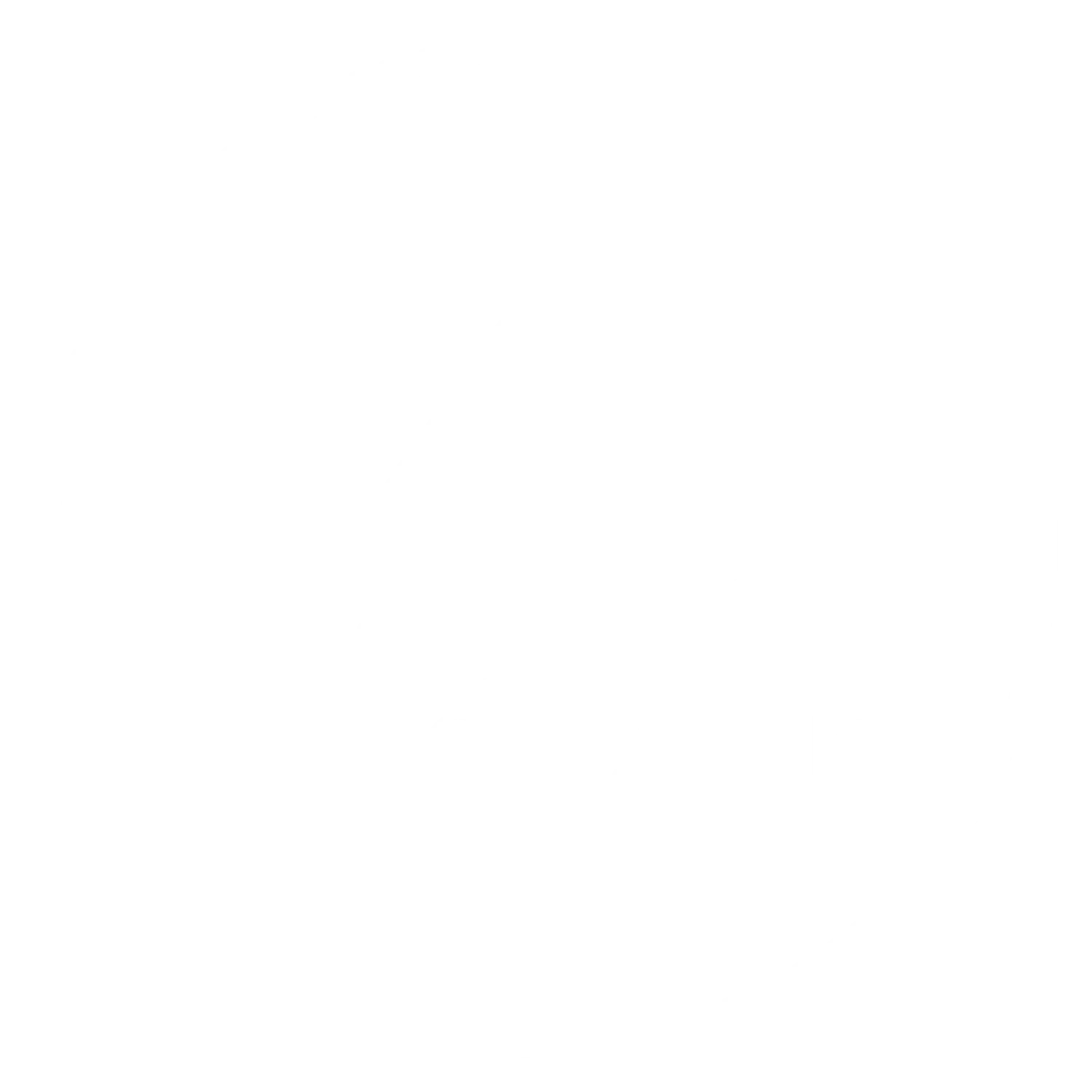 Everest Medical Group logo