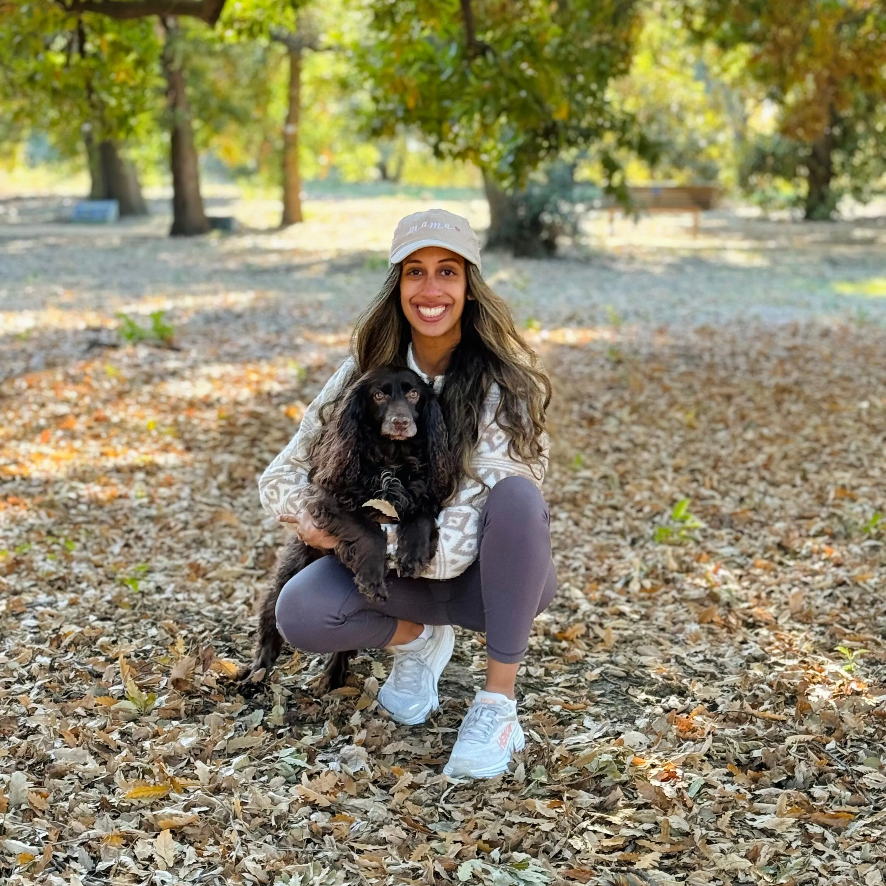 Oak Tree Animal Hospital