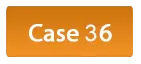 case-35-button.png