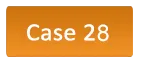 case28_btn.png