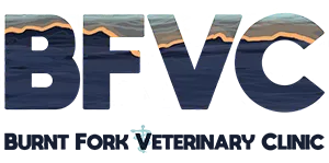 Burnt Fork Veterinary Clinic