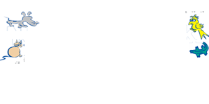 North Fork Animal Hospital
