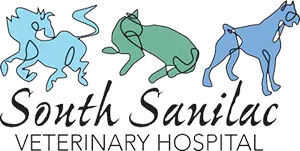 South Sanilac Veterinary Hospital