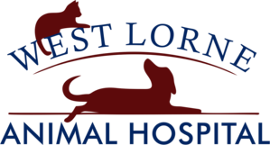 West Lorne Animal Hospital