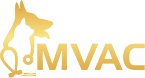 Midvalley Animal Clinic