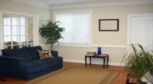 Therapy room of West Cobb office. Blue couch on left. Leafy plant in left and right corners. Tan carpet in center.