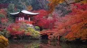 Fall colors surrounding a peaceful meditation hut
