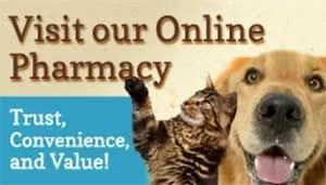 visit online pharmacy
