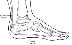 side view of the foot