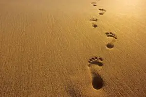 Footprints on sand