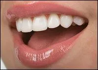 General Adairsville Dentistry