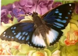 Blue and White Butterfly painting