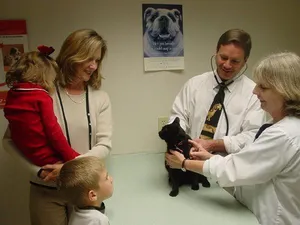 Lake Lansing Road Animal Clinic