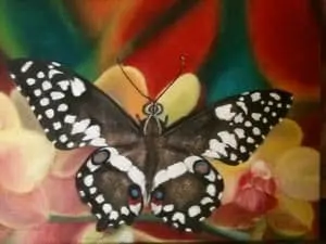  Brown Butterfly painting