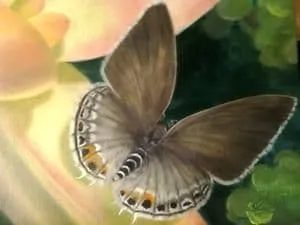 Gray Butterfly painting