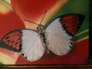 Butterfly painting