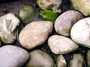 Rocks in a creek bed