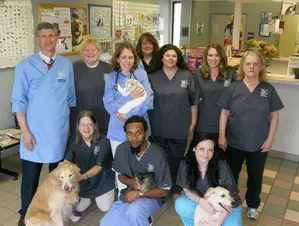 Hamilton veterinary hot sale clinic