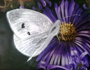 Butterfly painting