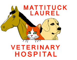 Home Alternative | Mattituck-Laurel Veterinary Hospital in Laurel NY