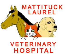 Mattituck-Laurel Veterinary Hospital