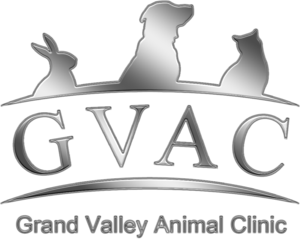 Grand Valley Animal Clinic