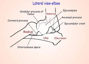 Proper position for elbow evaluation