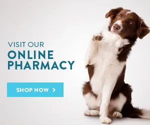 Buckeye Run Veterinary Clinic Online Store