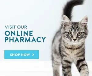online pharmacy link