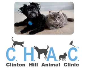 Clinton Hill Animal Clinic Logo