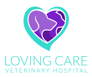 loving care logo