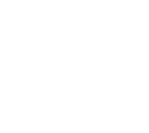 Computer Icon