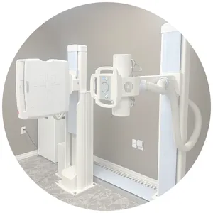 Global Wellness Chiropractic