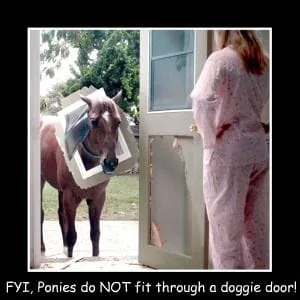ponies do not fit