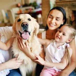 A family with a small child petting a dog together
