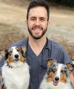 Meet Our Team | Raleigh Community Animal Hospital | Raleigh, NC