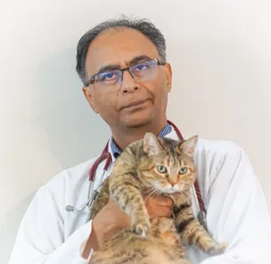 veterinarian ,best ,animal doctor