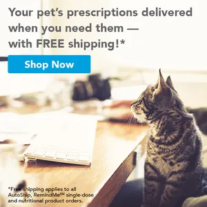 Visit Our Online Pharmacy