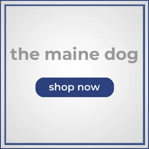 the maine dog