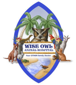 Wise Owl Animal Hospital